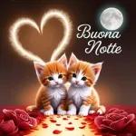 notte 