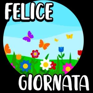 Fe6Gm6