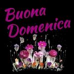 Buona Domenica