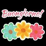 Sorrisi del Mattino