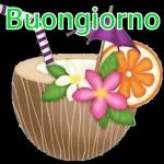 Buondi
ranocchio
E piove...