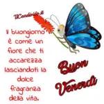 buongiorno
