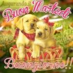 buon martedì  a tutti