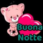 Serena notte