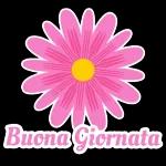 CON BUONA GIORNATA 12 