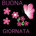 Buonanotte 😴
