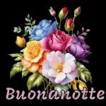 BuonAnotte