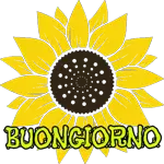 in movimento 