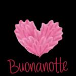 Buonanotte 50