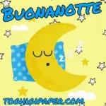 buonanotte 💗