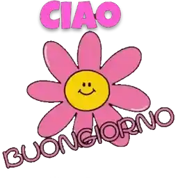 Ti mando un bel baciotoghigipaperBuongiorno!!