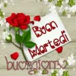 buon martedì  a tutti