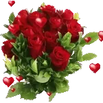 Tutto Brilla per Te ✨🌹