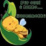 Buona Notte