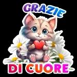 Grazie di cuore