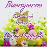 Dolce Notte sogni belli