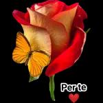 Per te