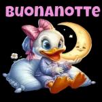 BUONANOTTE