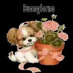 Download gratuito aggiornamento quotidiano