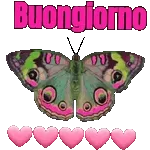 Felice giorno!