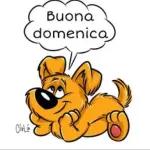felice domenica 🏄