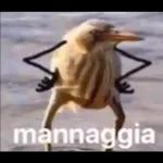 Buongiorno