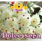 🌹🌹🌹