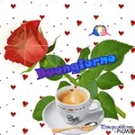 Un Sorriso al Giorno 😊🌟