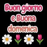 Buona Domenicas Youongi ere.it "ეკლ yűluama mocalcoordda