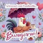 BUON GIORNO