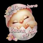 Buona Notte A domani...