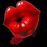 Penso a te