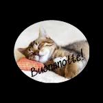 Dormibene,notte notte