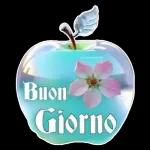 Buona Notte