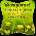 Buondi
ranocchio
E piove...