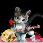 Mariarosa