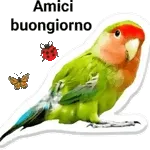 Felice giorno!