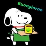 buona giornata