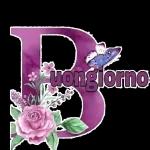 serena giornata 🌤