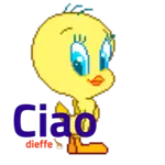 oggi è sabato,Un grande felicità 