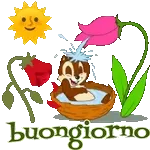 Solo Buone Energie 🔋💖