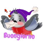 Boa noite