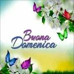 Buona Domenica