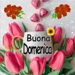 Domenica