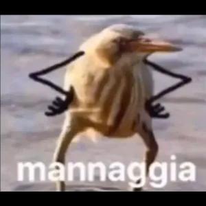 TbqYRv