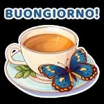 Buongiorno