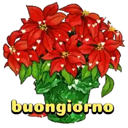 play_circle_outline heartsHow to add to WhatsAppInformation