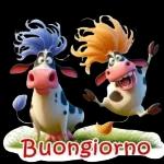 Buon pomeriggio