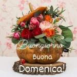 Buongiorno, buona domenica