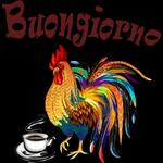  Buongiorno
